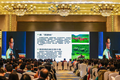 江西活動策劃公司 專業(yè)承辦南昌企業(yè)年會、產(chǎn)品推介會及大型活動組織策劃服務